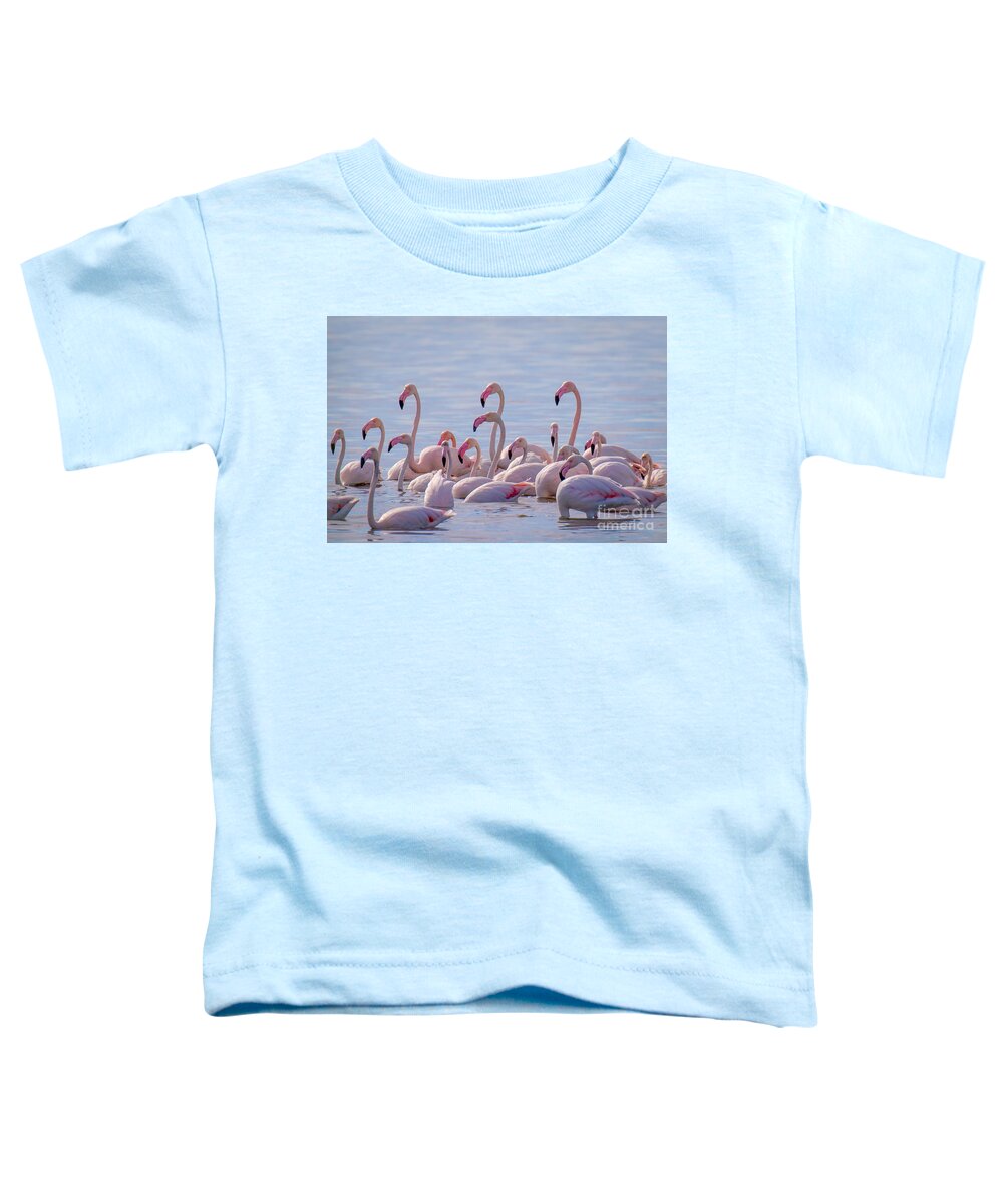 Animalia Toddler T-Shirt featuring the photograph Flamingo Family in Kalochori Lagoon Greece by Jivko Nakev