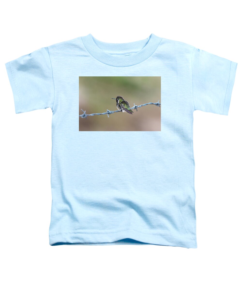 Nature Toddler T-Shirt featuring the photograph Fluffy Hummingbird by Douglas Killourie