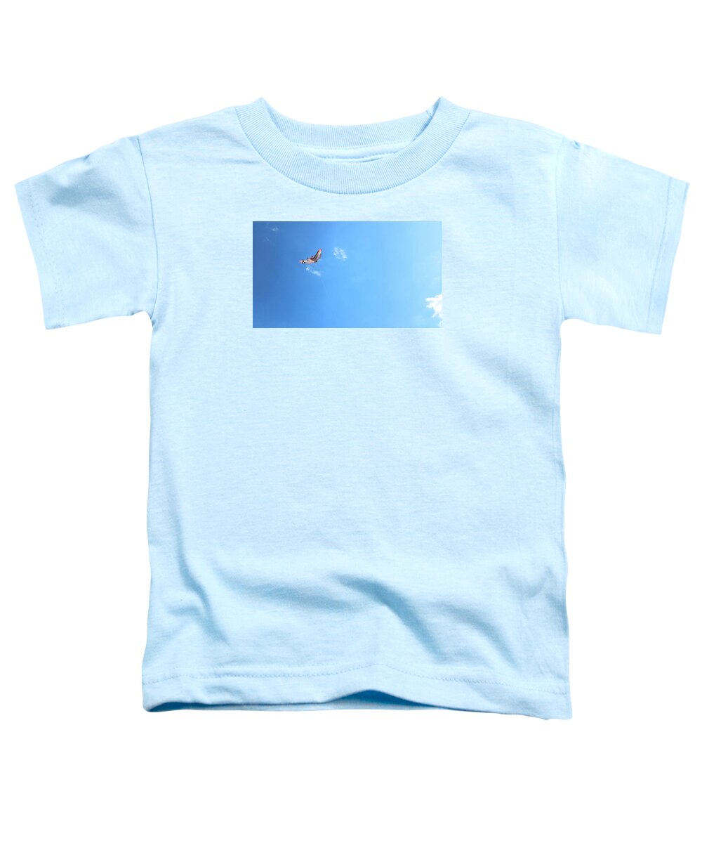 Kite Toddler T-Shirt featuring the photograph Flying in the wind by Kimberly W