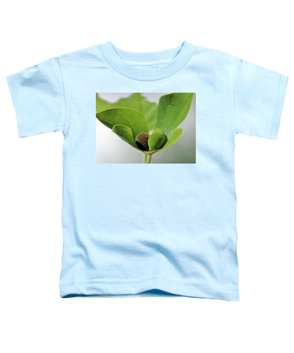 Eastern Tiger Swallowtail Toddler T-Shirt featuring the photograph Friends by Jackson Pearson