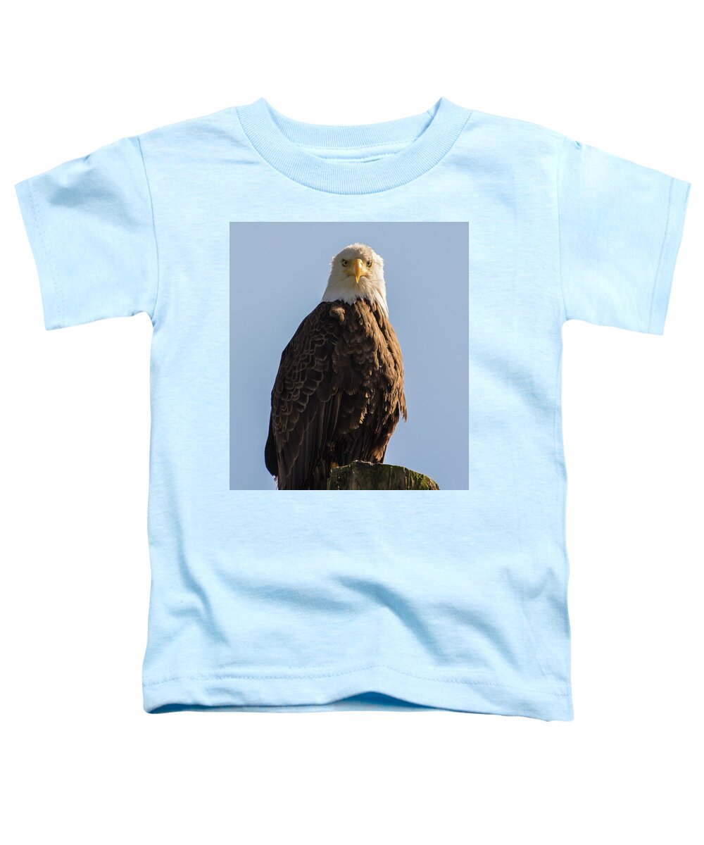 Bald Eagle Toddler T-Shirt featuring the photograph Glory by David Kirby