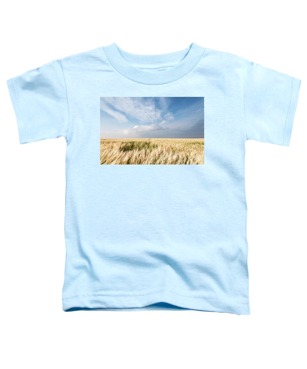 Wheat Field Toddler T-Shirt featuring the photograph Golden wheat field and sky by Michalakis Ppalis