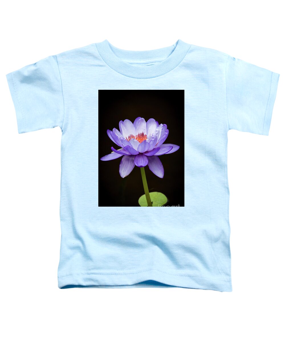 Spring Toddler T-Shirt featuring the photograph Gorgeous Purple Water Lily by Sabrina L Ryan