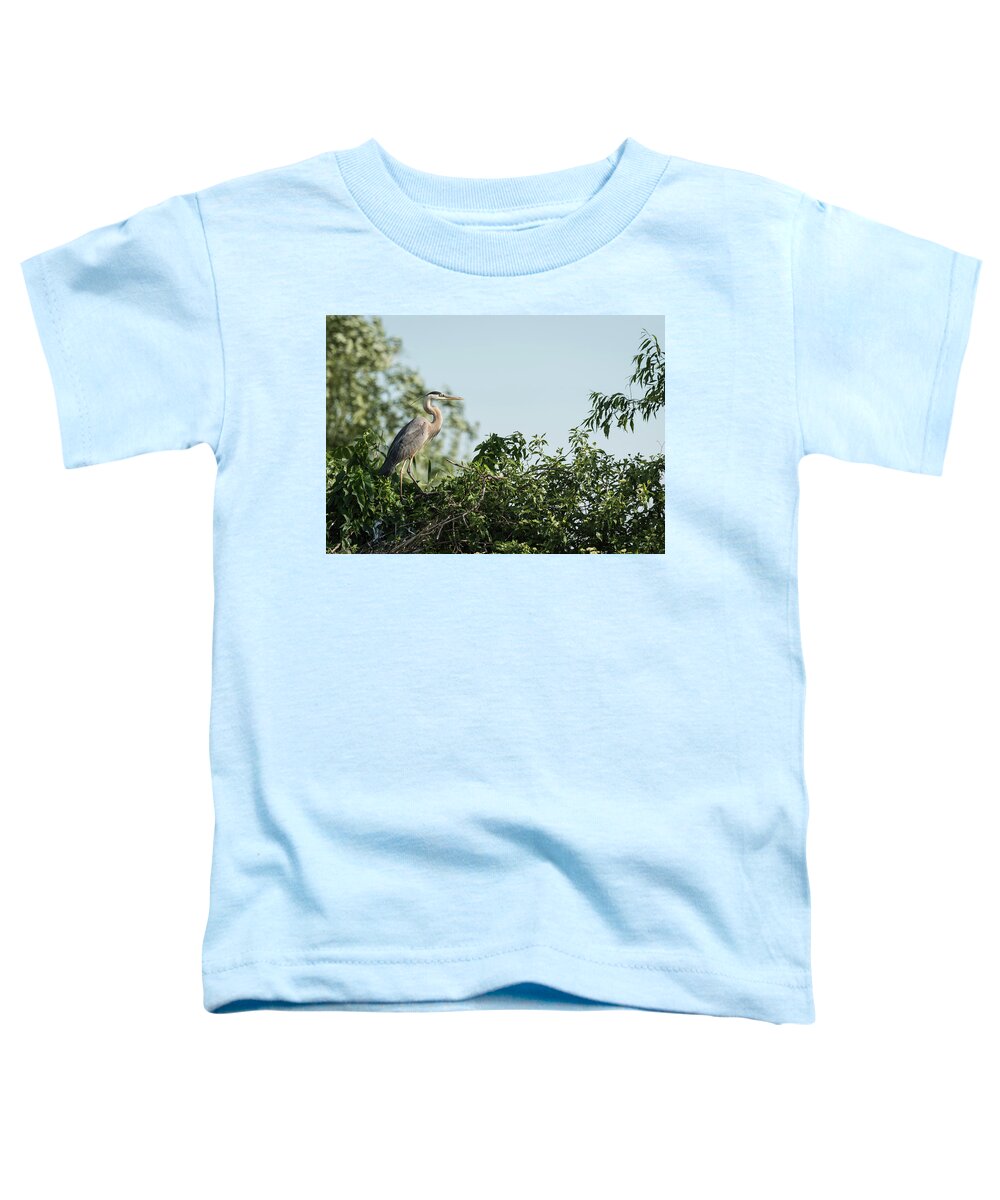 Great Blue Heron Toddler T-Shirt featuring the photograph Great Blue Heron 2015-18 by Thomas Young