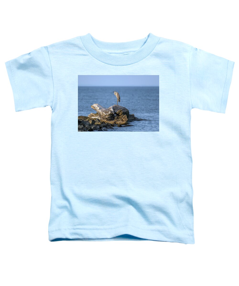 Great Blue Heron Toddler T-Shirt featuring the photograph Great Blue Heron on Chesapeake Bay by Patrick Wolf