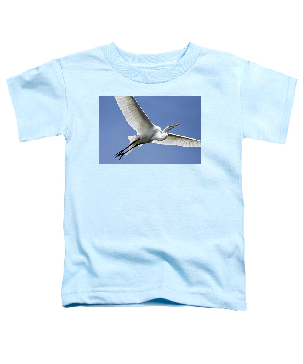 Birds Toddler T-Shirt featuring the photograph Great Egret Soaring by Gary Wightman