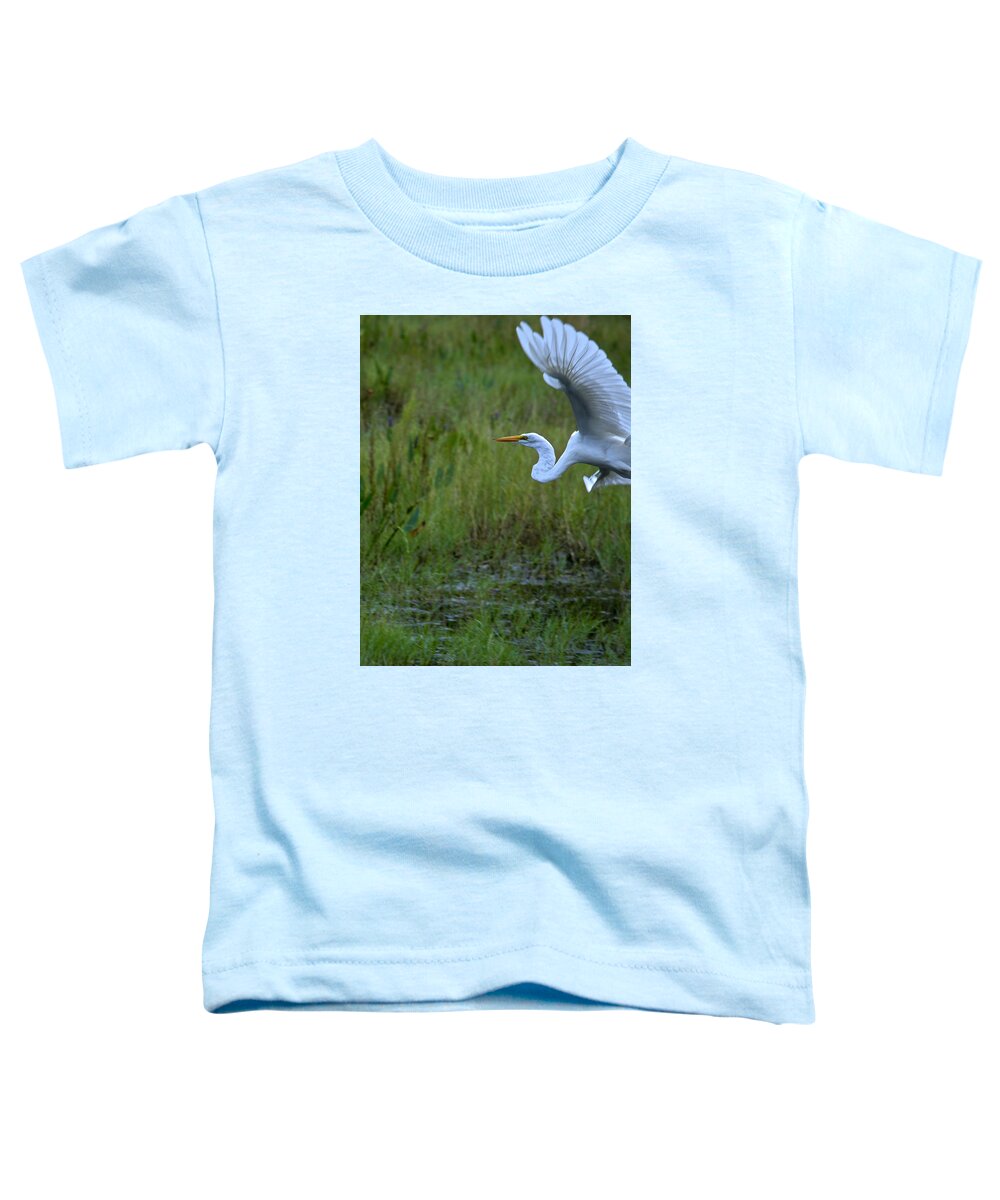 Bird Toddler T-Shirt featuring the photograph Half Way Through by Alison Belsan Horton