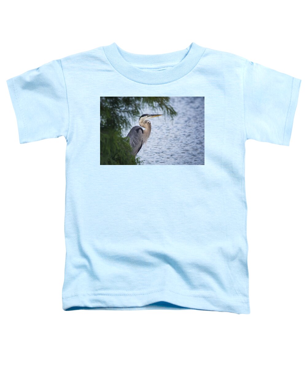 Great Blue Heron Toddler T-Shirt featuring the photograph Heron Hide and Seek by Saija Lehtonen