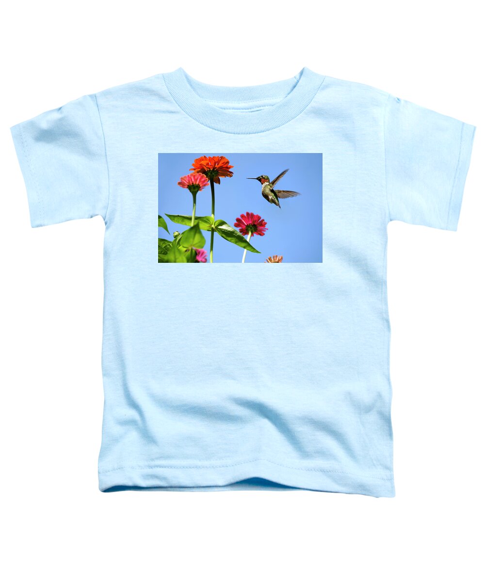 Hummingbird Toddler T-Shirt featuring the photograph Hummingbird Happiness by Christina Rollo