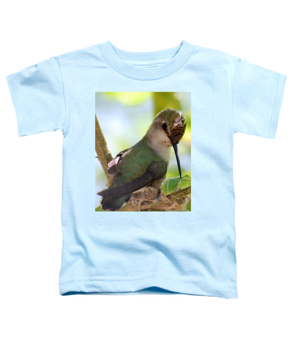 Hummingbird Toddler T-Shirt featuring the photograph Hummingbird with small nest by Amy Fose