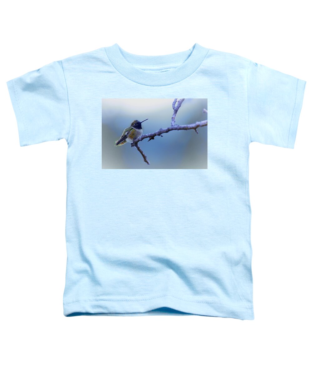 Hummingbird Toddler T-Shirt featuring the photograph Hummingbird11 by Loni Collins