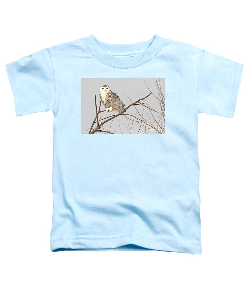 Owl Toddler T-Shirt featuring the photograph I spy with my yellow eye by Heather King