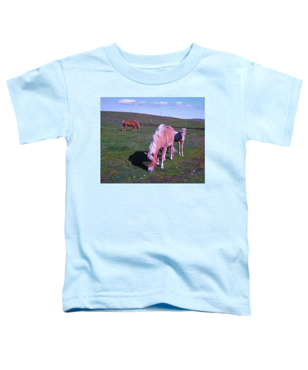 Horse Toddler T-Shirt featuring the photograph Icelandic Horses by Richard Goldman