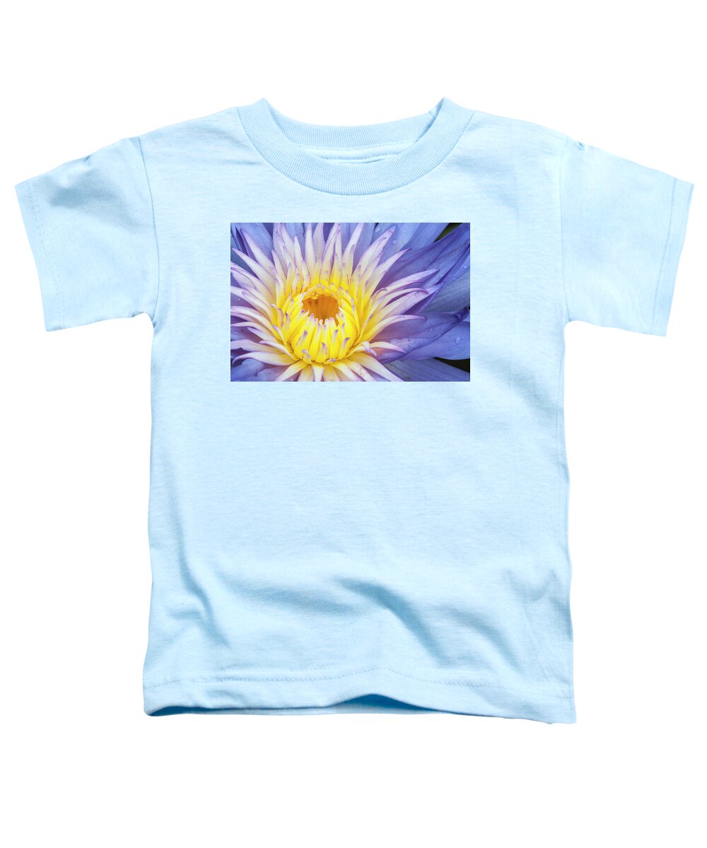 Waterlily Toddler T-Shirt featuring the photograph Perfect symmetry of a blossom by Usha Peddamatham