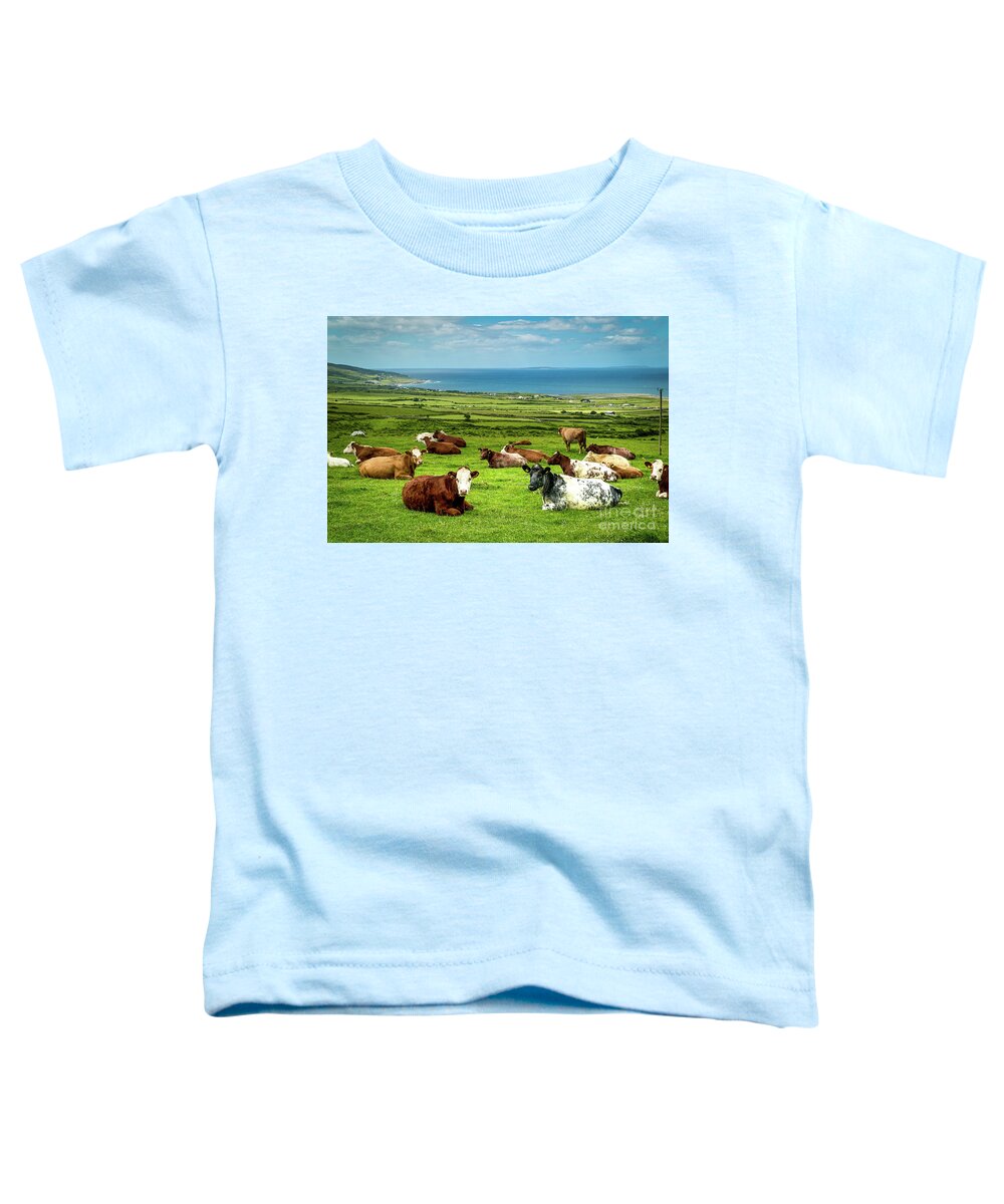 Ireland Toddler T-Shirt featuring the photograph Ireland - Westcoast by Juergen Klust