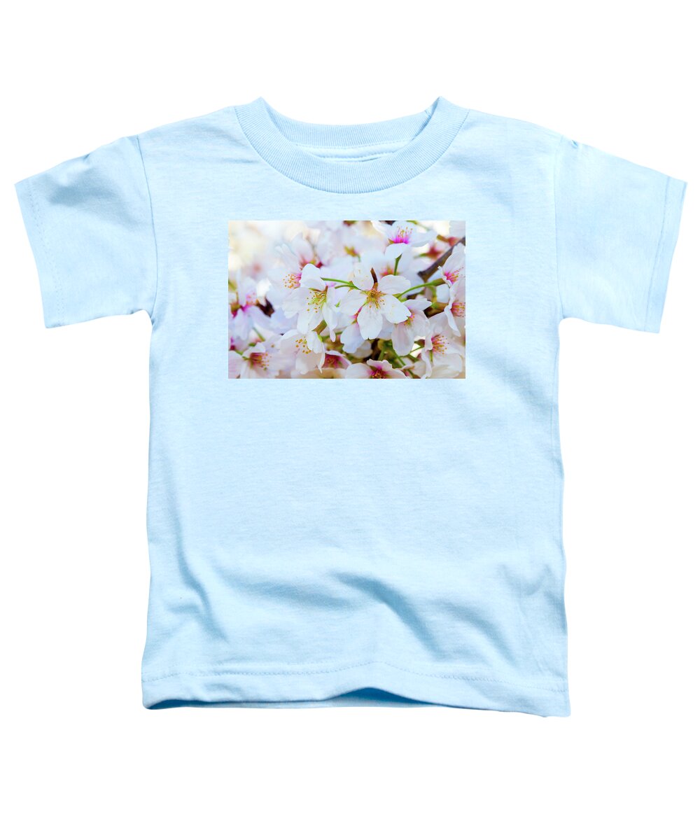 Cherry Blossom Festival Toddler T-Shirt featuring the photograph Japanese Cherry Tree Blossoms 2 by SR Green