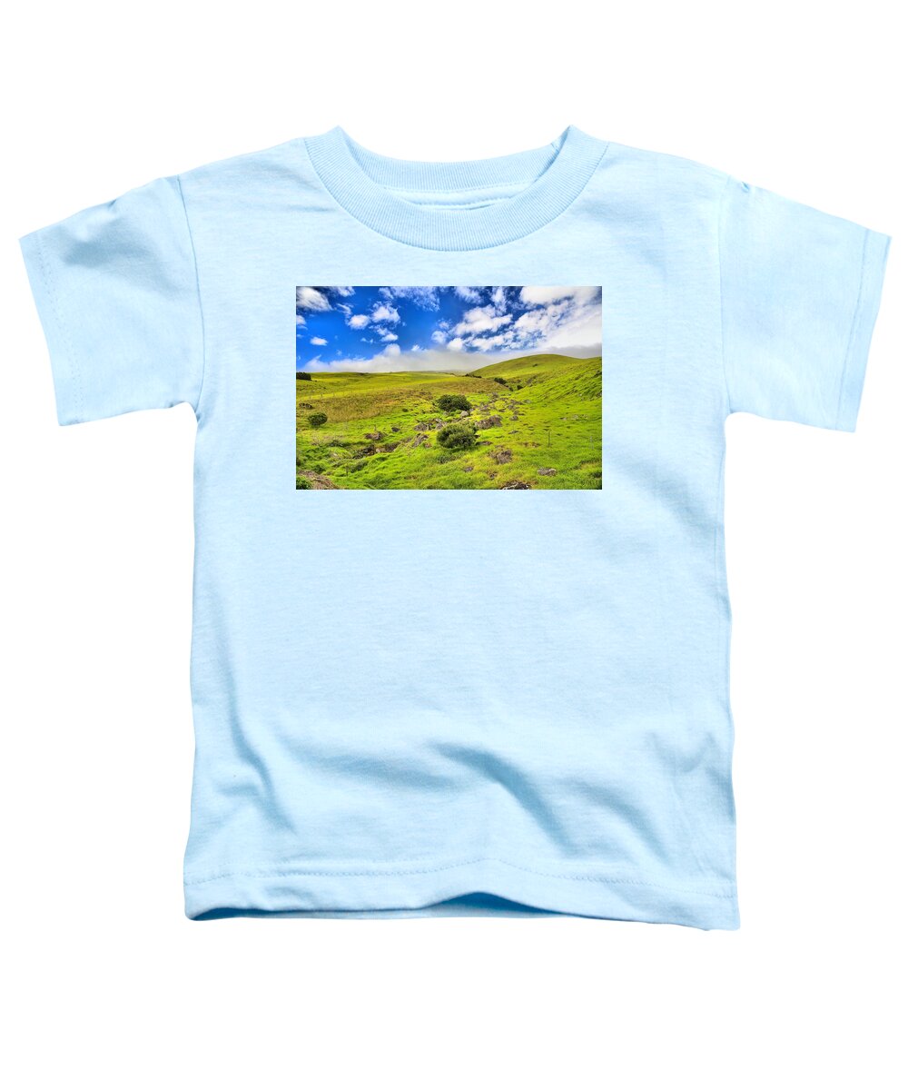 Hawaii Toddler T-Shirt featuring the photograph Kohala Hawaii by DJ Florek