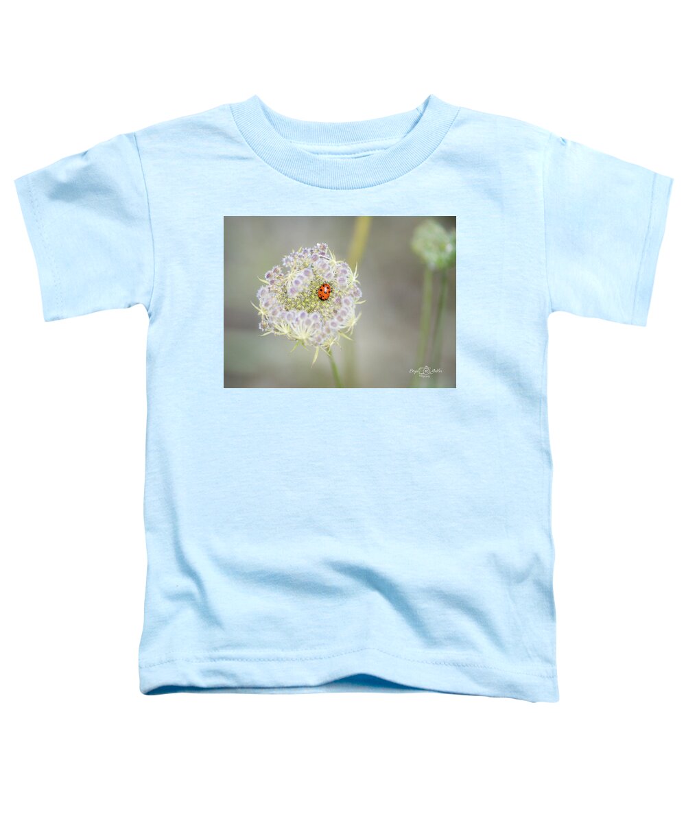 Lady Bug Toddler T-Shirt featuring the photograph Lady on the Lace by Steph Gabler