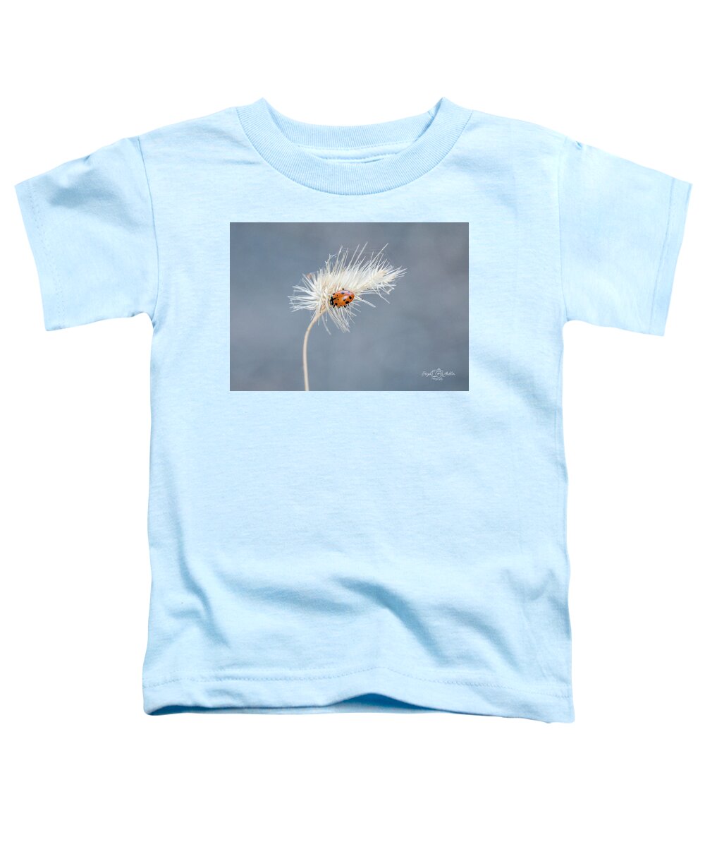 Ladybug Toddler T-Shirt featuring the photograph Ladybug by Steph Gabler