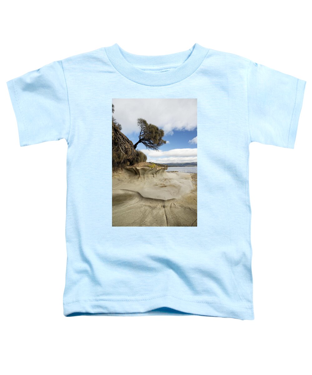 Bruny Island Toddler T-Shirt featuring the photograph Last One Standing by Anthony Davey