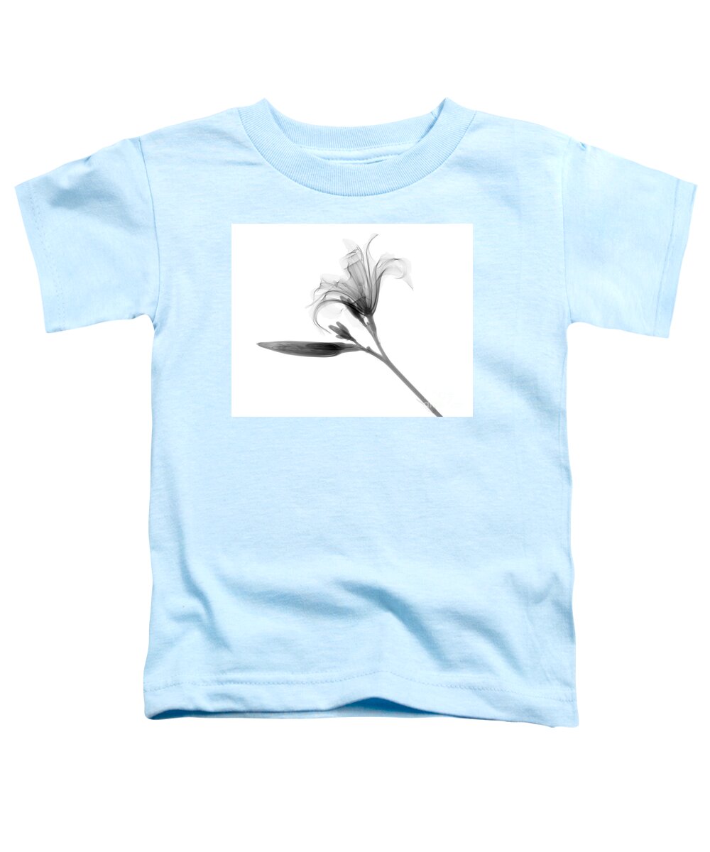 Flower Toddler T-Shirt featuring the photograph Lily by Ted Kinsman