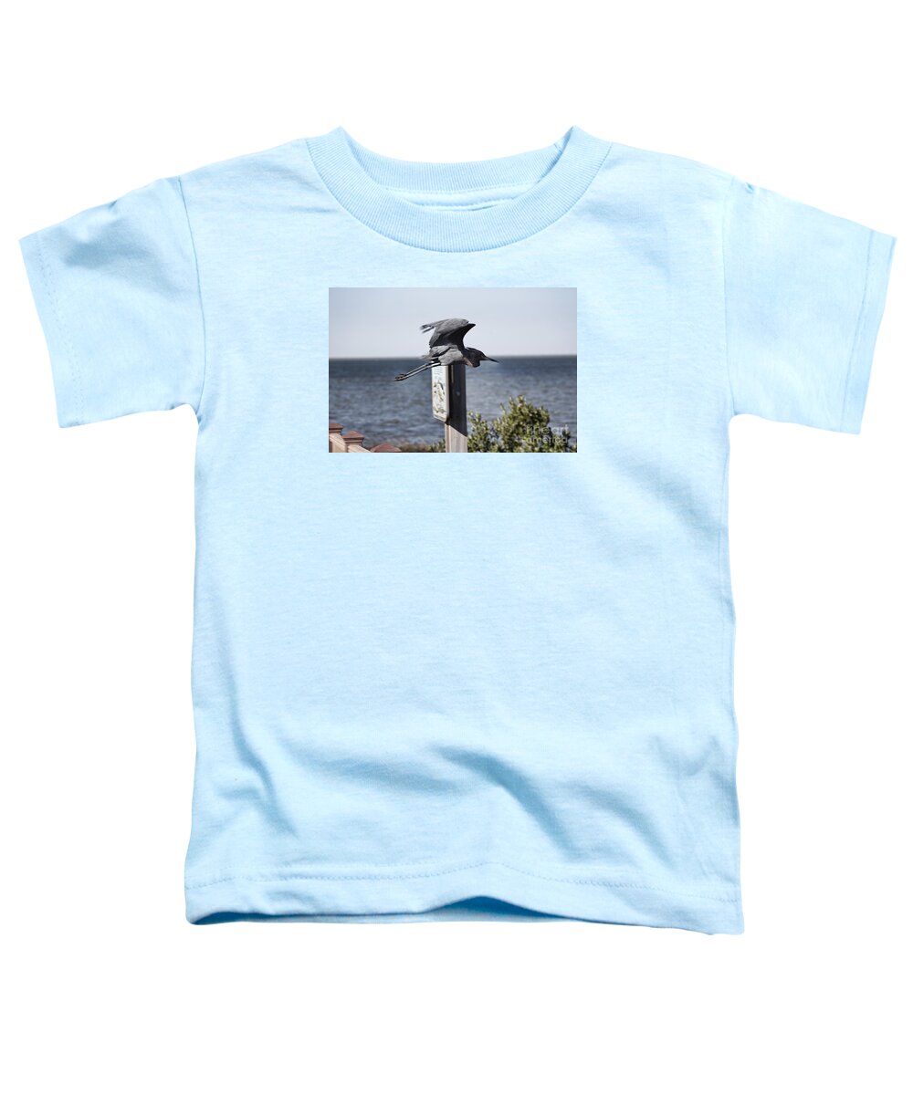 Little Blue Heron Toddler T-Shirt featuring the photograph Little Blue Heron in Flight by Douglas Barnard