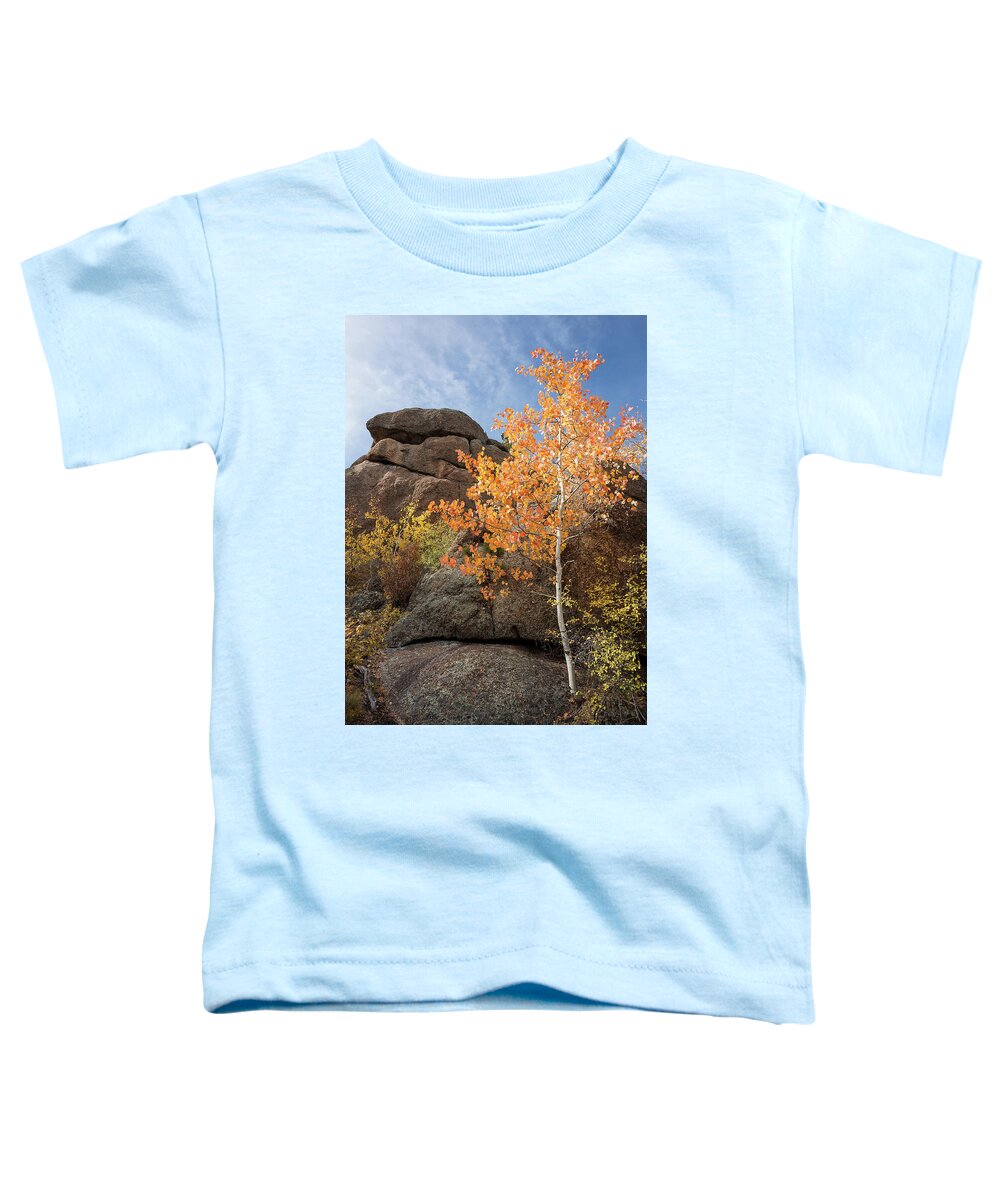 Aspen Toddler T-Shirt featuring the photograph Lone Aspen by Tim Newton