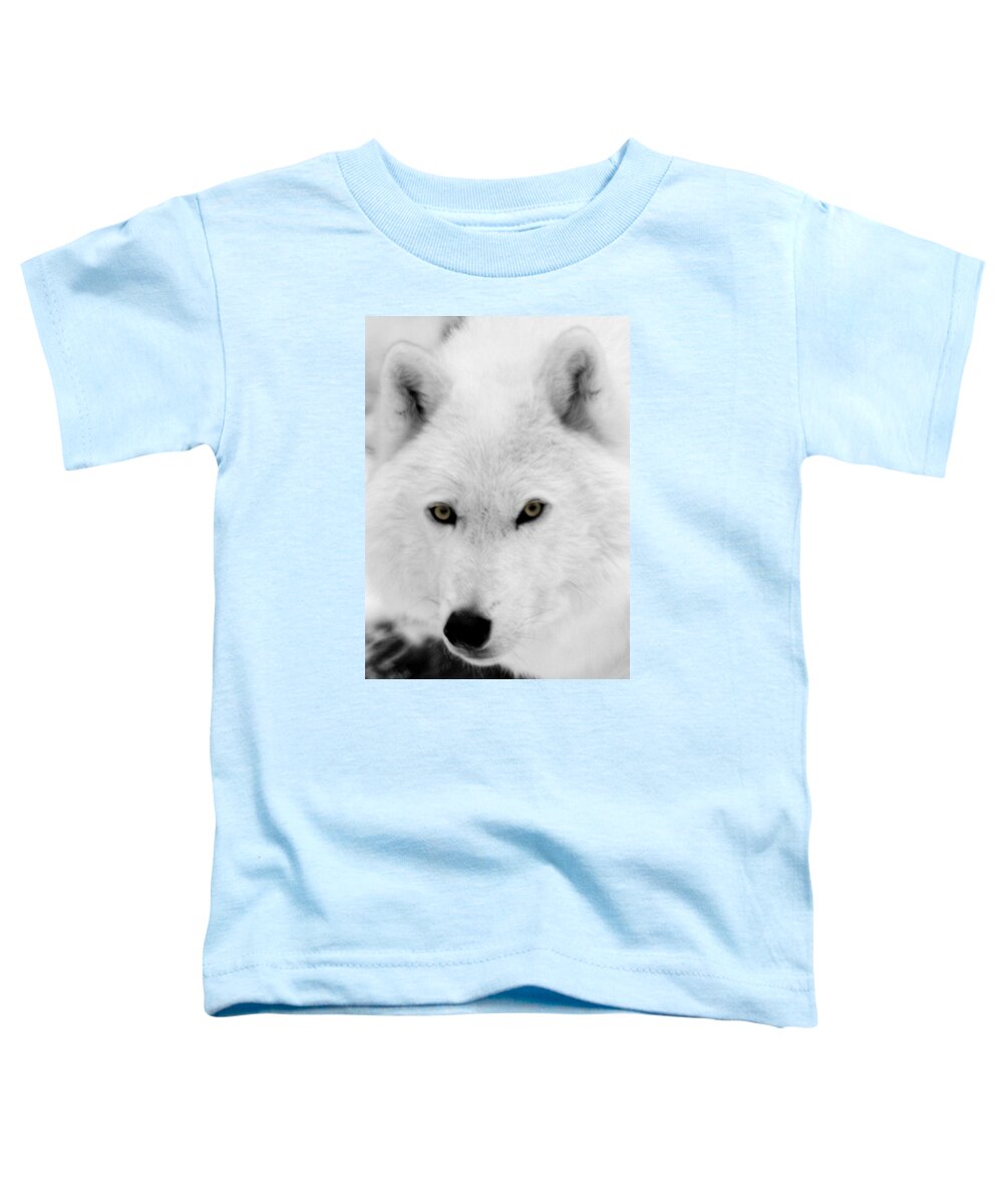 Arctic Wolf Toddler T-Shirt featuring the photograph Look into my eyes by Larry Ricker