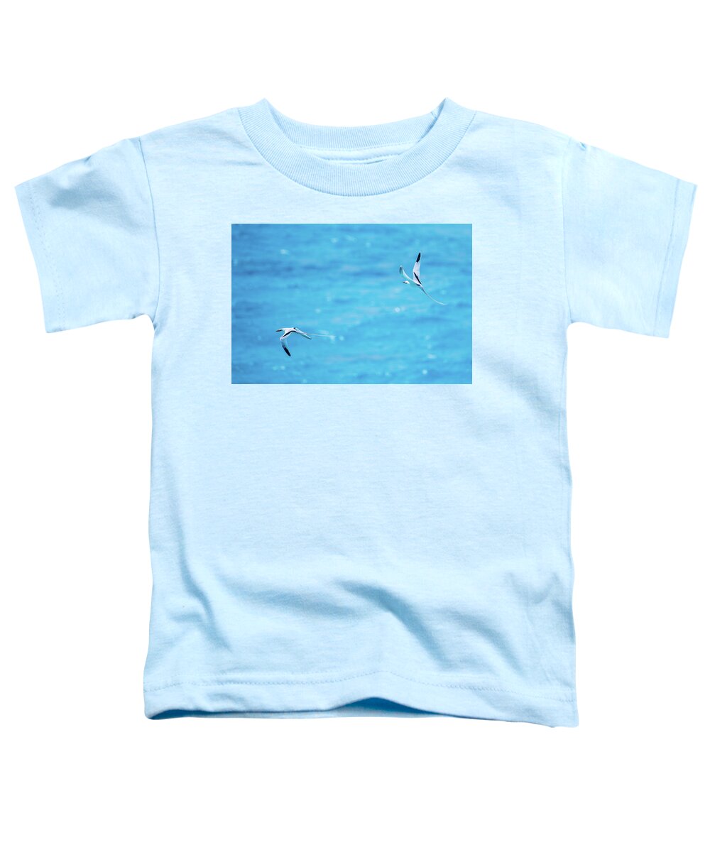 2018 Toddler T-Shirt featuring the photograph Loose Formation Flight by Jeff at JSJ Photography