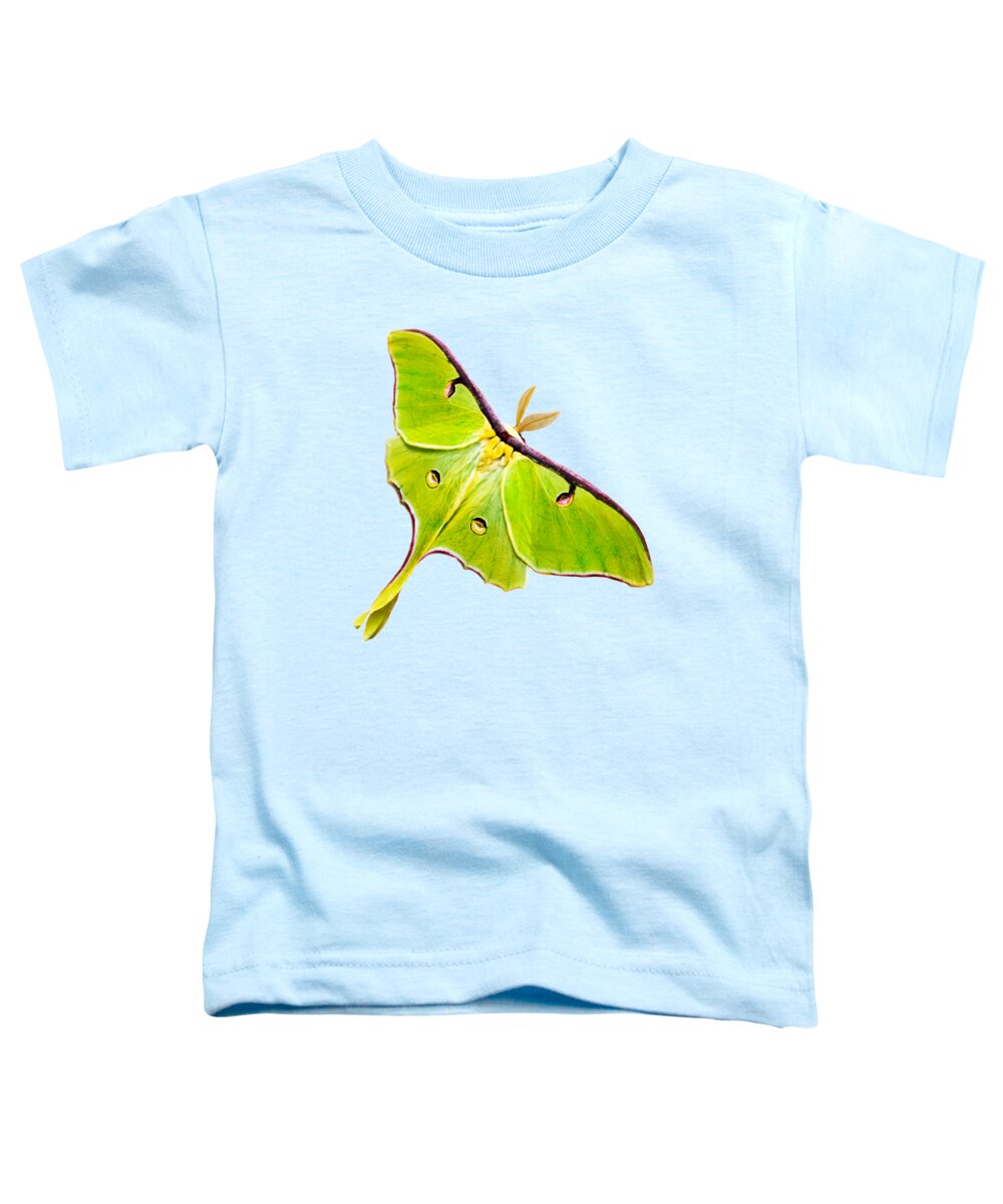 Luna Moth Toddler T-Shirt featuring the photograph Luna Moth by Christina Rollo