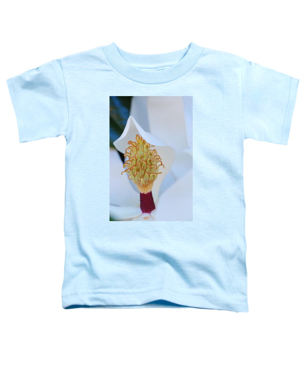 Flower Toddler T-Shirt featuring the photograph Magnolia Blossom 1 by Amy Fose