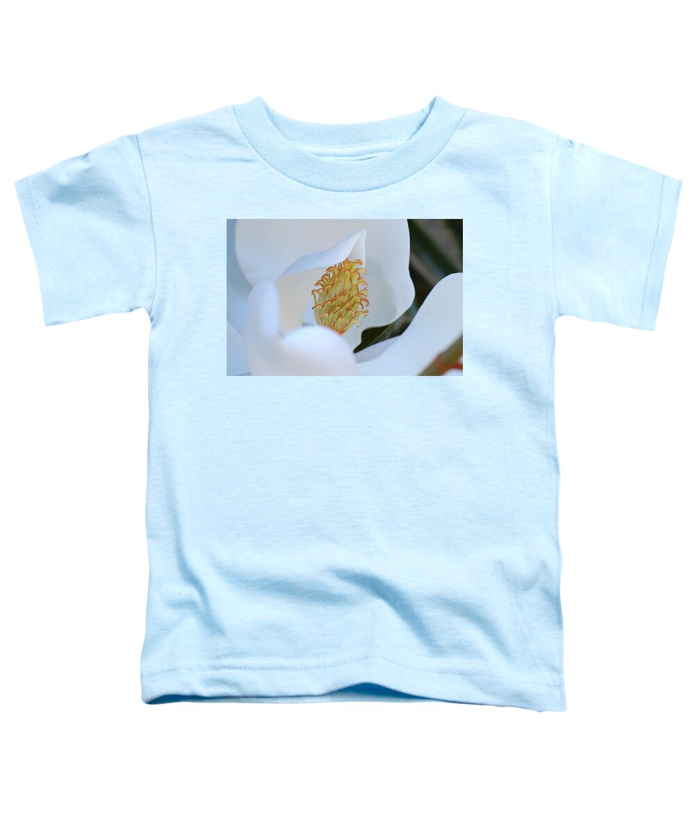 Flower Toddler T-Shirt featuring the photograph Magnolia Blossom 2 by Amy Fose