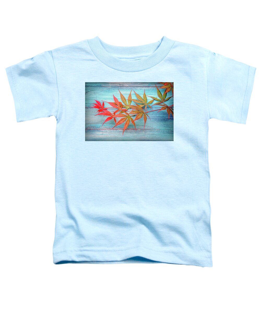 Leaves Toddler T-Shirt featuring the photograph Maple Colors by Philippe Sainte-Laudy