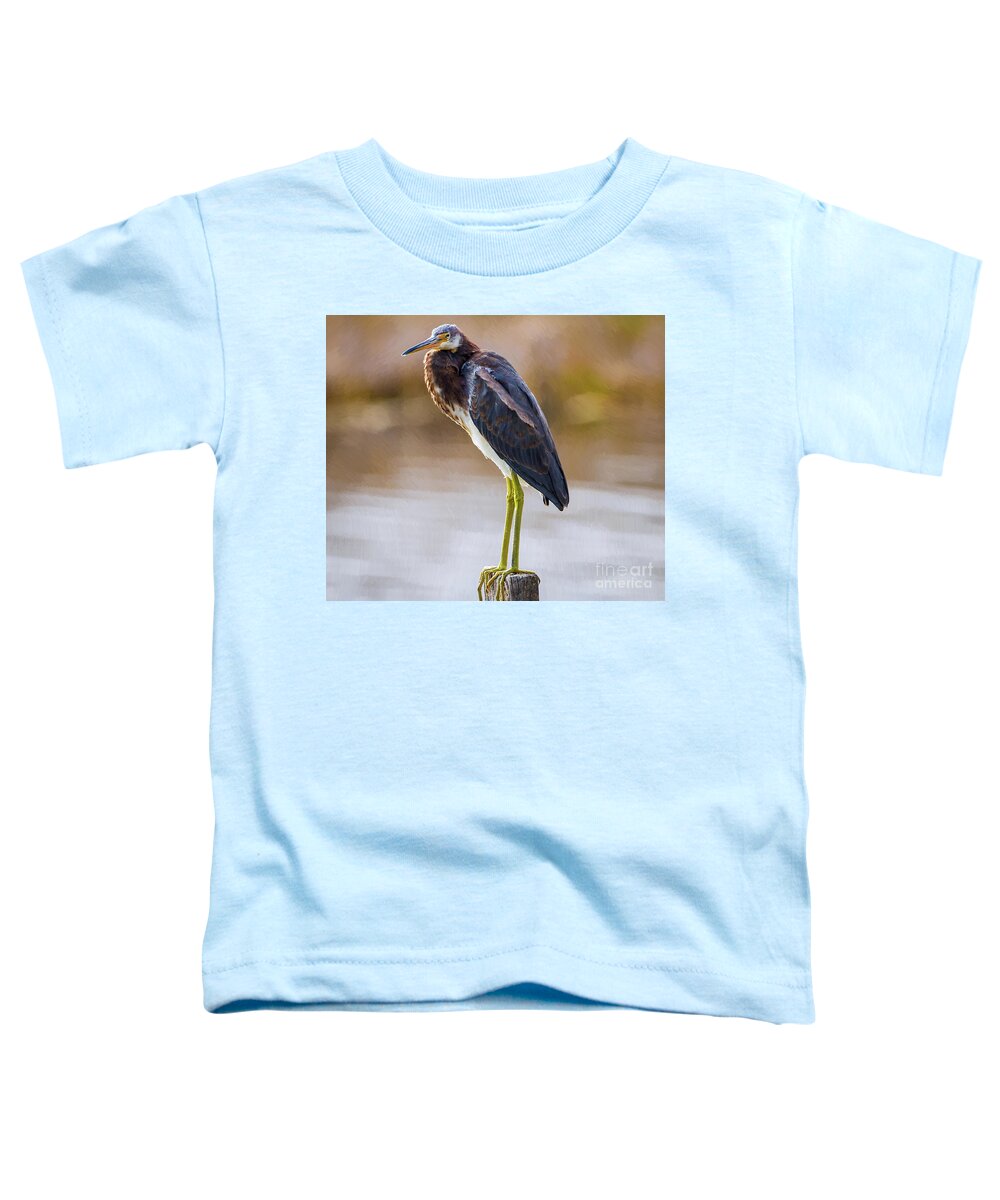 Nature Toddler T-Shirt featuring the painting Master Of The Post 2 - Egretta Tricolor by DB Hayes