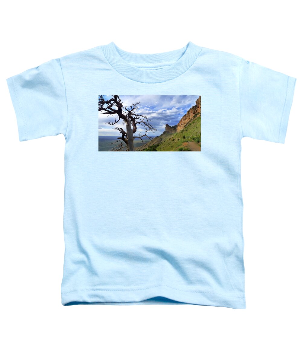 Mesa Verde Mood Toddler T-Shirt featuring the photograph Mesa Verde Mood by Skip Hunt