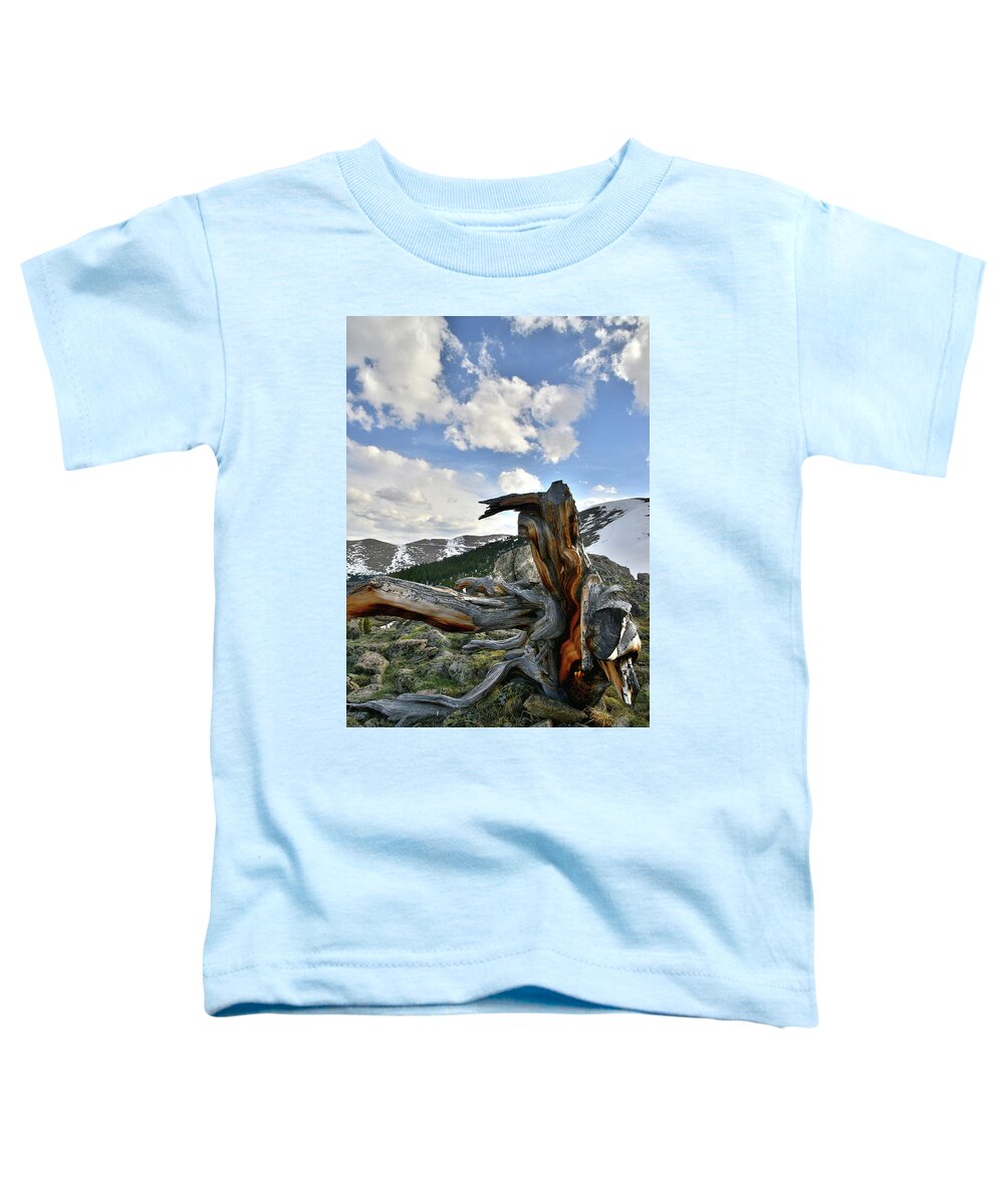 Mount Goliath Natural Area Toddler T-Shirt featuring the photograph Mt. Evans Bristlecone Pine by Ray Mathis
