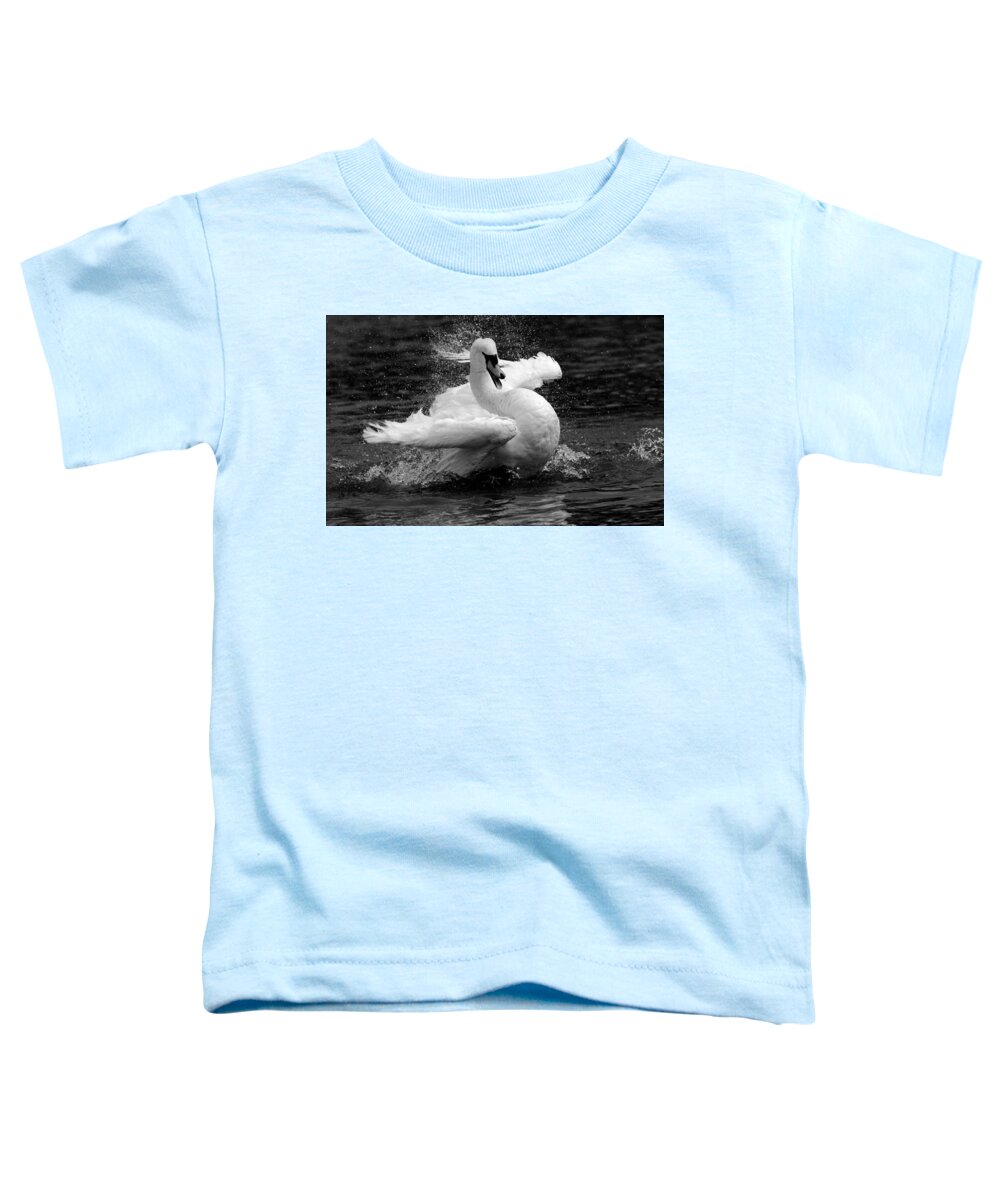 Mute Swan Toddler T-Shirt featuring the photograph Mute swan by Jackie Russo
