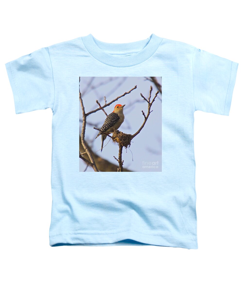 Wood Pecker Toddler T-Shirt featuring the photograph My back yard buddies-2 by Robert Pearson