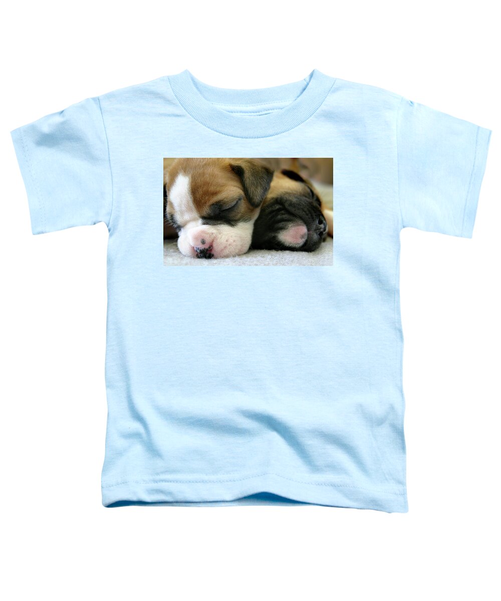 Dog Toddler T-Shirt featuring the photograph Nap Time by Bob Cournoyer