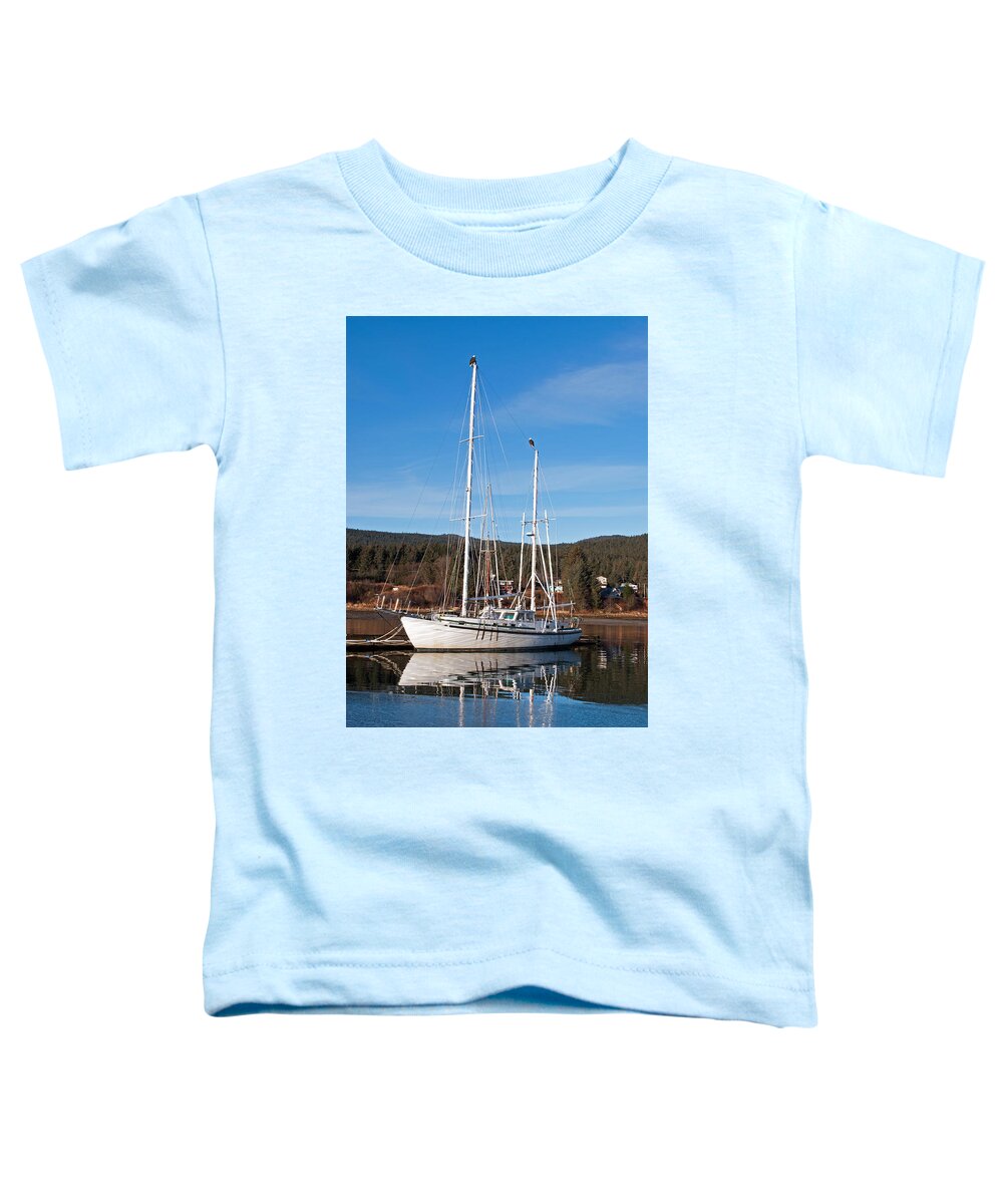 Harbor Toddler T-Shirt featuring the photograph Not the Crow's Nest by Cathy Mahnke