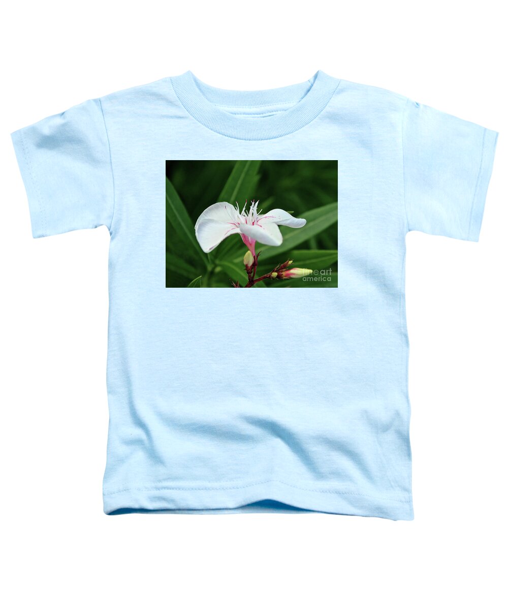 Oleander Toddler T-Shirt featuring the photograph Oleander Harriet Newding 1 by Wilhelm Hufnagl
