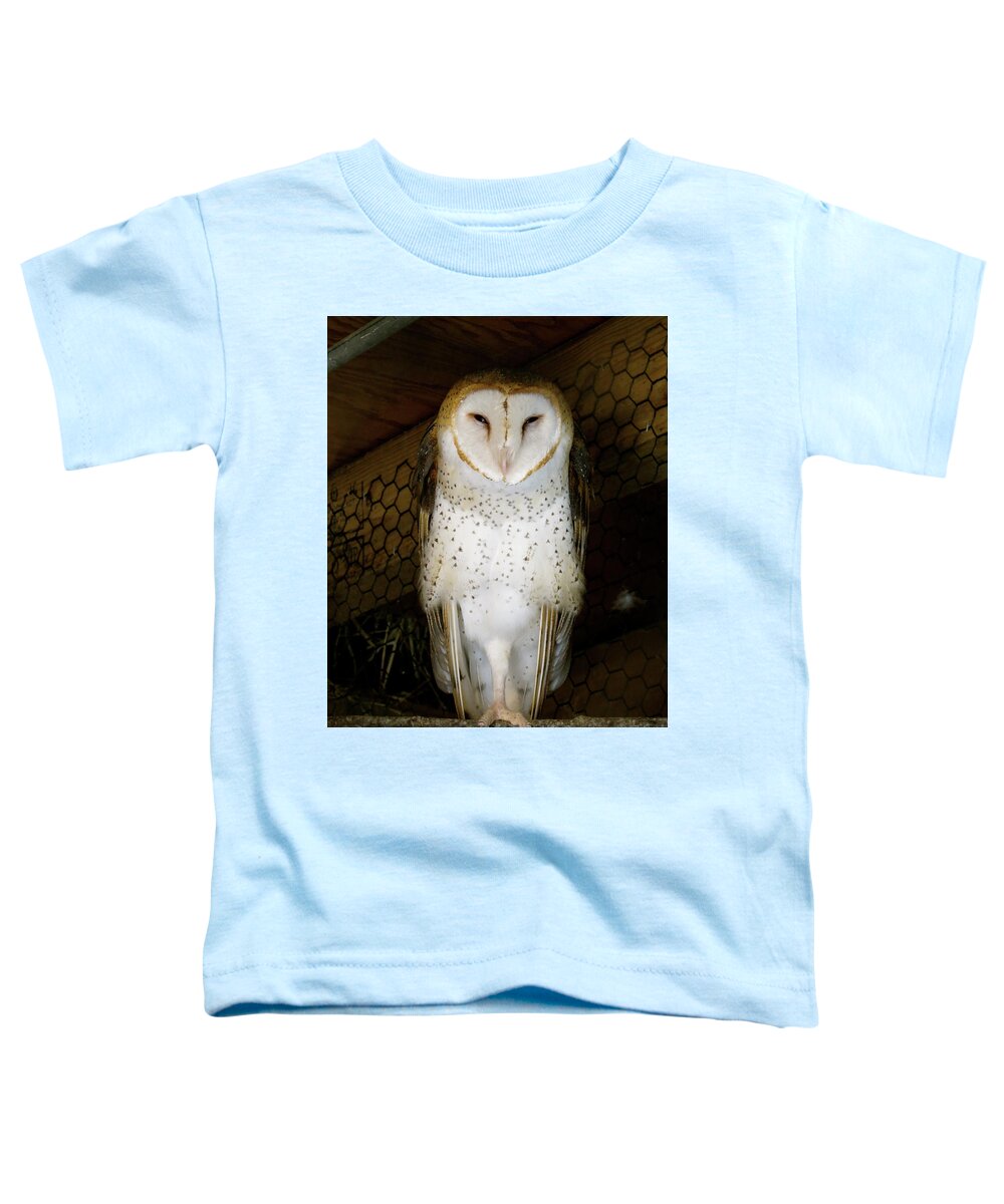 Owl Toddler T-Shirt featuring the photograph On one leg by Azthet Photography