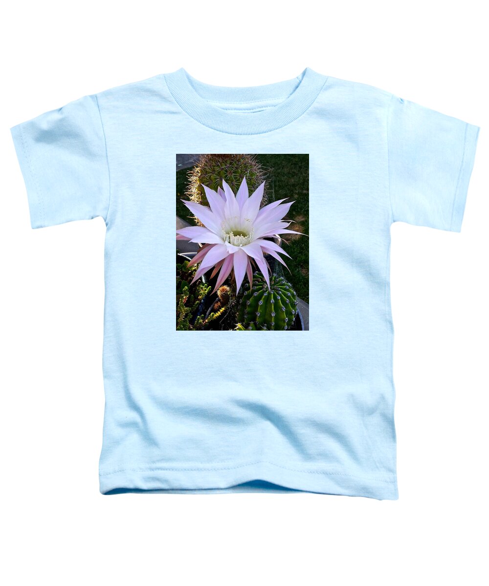 Cactus Blossom Toddler T-Shirt featuring the photograph One Day Wonder by Amelia Racca