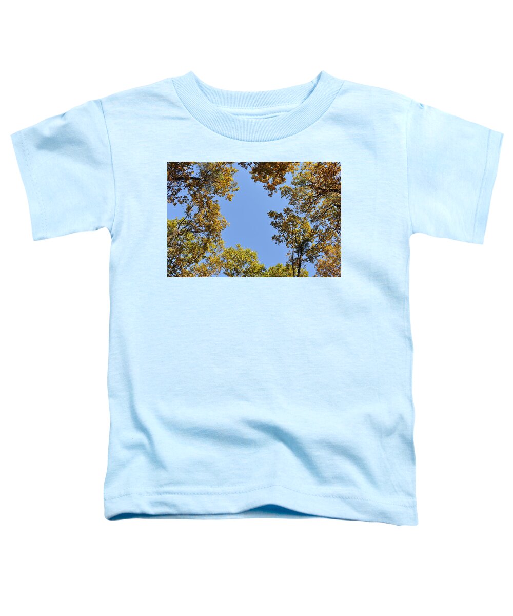 Oaks Toddler T-Shirt featuring the photograph Opening by Georgeta Blanaru