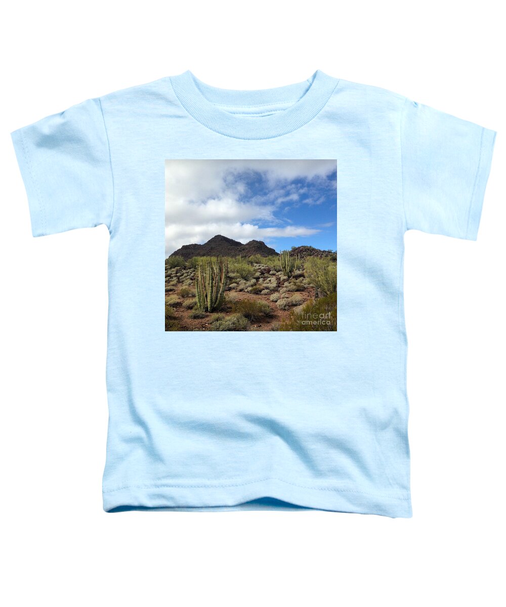 Landscape Toddler T-Shirt featuring the photograph Organ Pipe Heaven by Jeff Hubbard