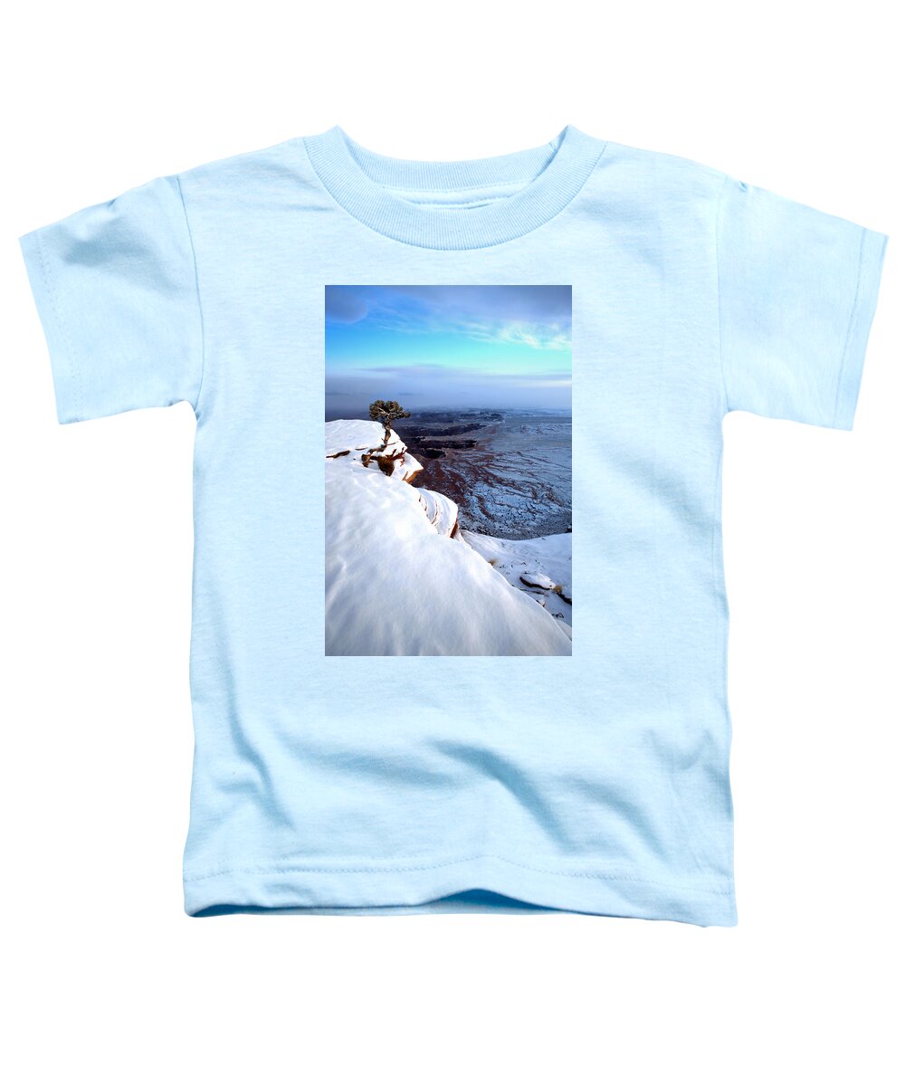 Americas Best Idea Toddler T-Shirt featuring the photograph Overseer by David Andersen