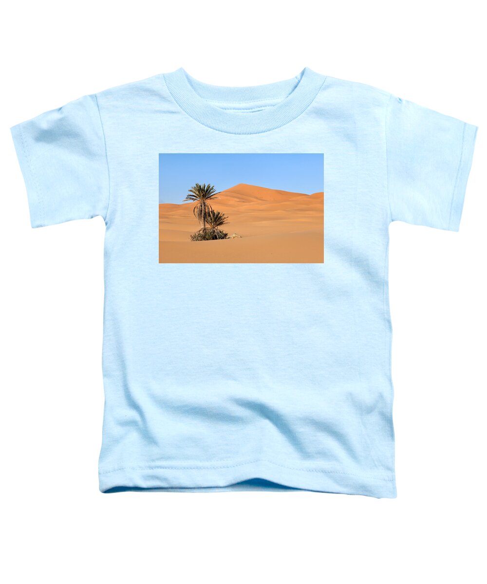 Palms Toddler T-Shirt featuring the photograph Palms in Desert by Aivar Mikko