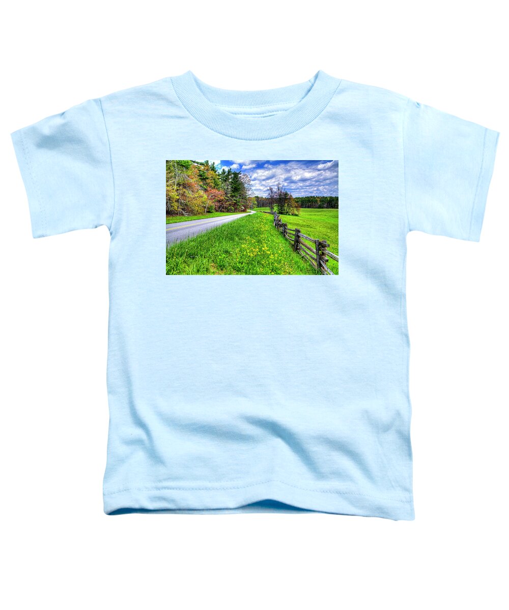 Blue Ridge Parkway Toddler T-Shirt featuring the photograph Parkway Spring by Dale R Carlson