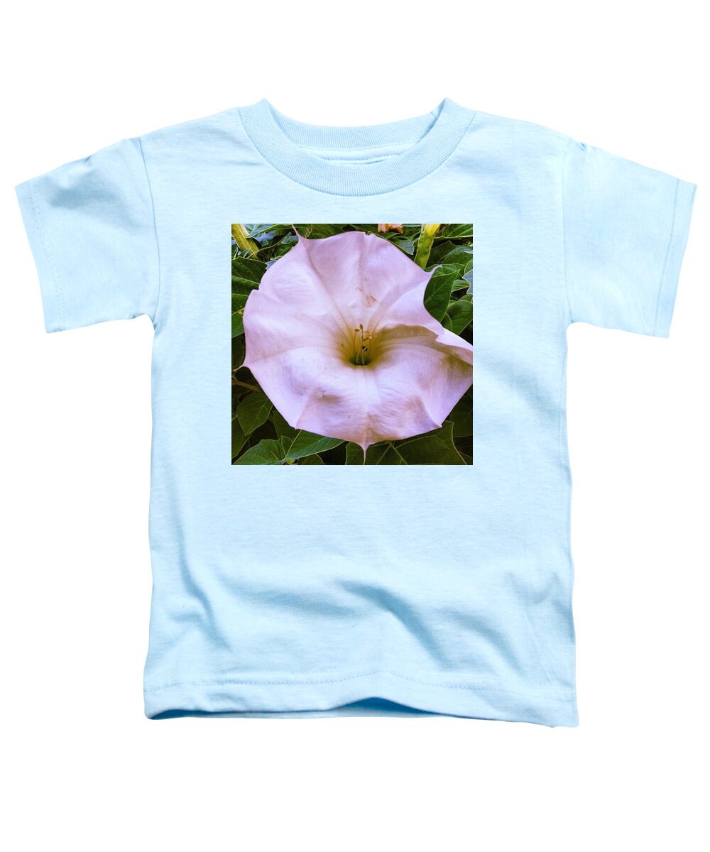 Organicart Toddler T-Shirt featuring the photograph Pink Power by Nick Heap