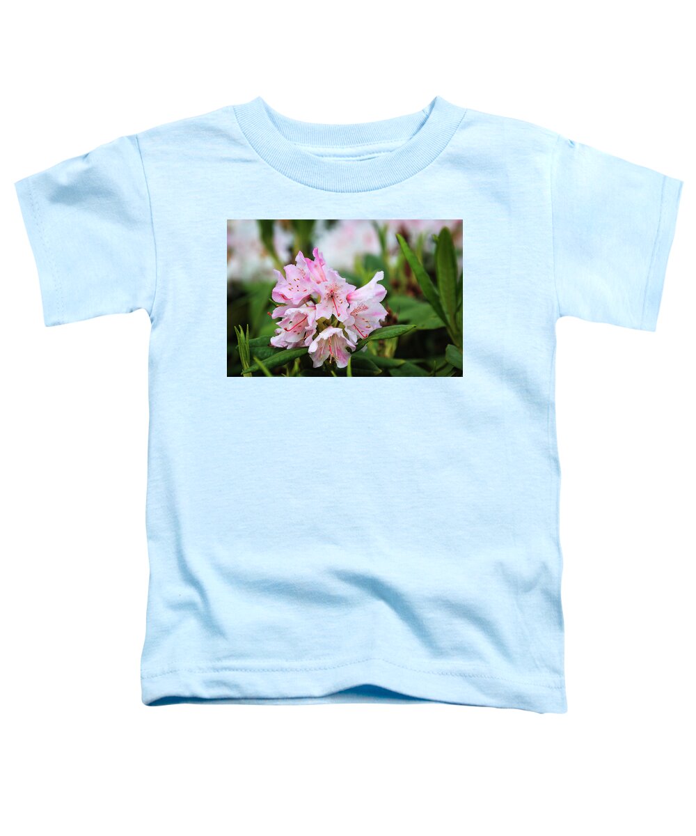 Flower Toddler T-Shirt featuring the photograph Pink Rhodondendron spring flower by Tim Abeln